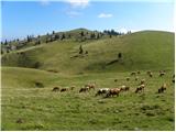 Kranjski Rak  - Kapela Marije Snežne (Velika planina)